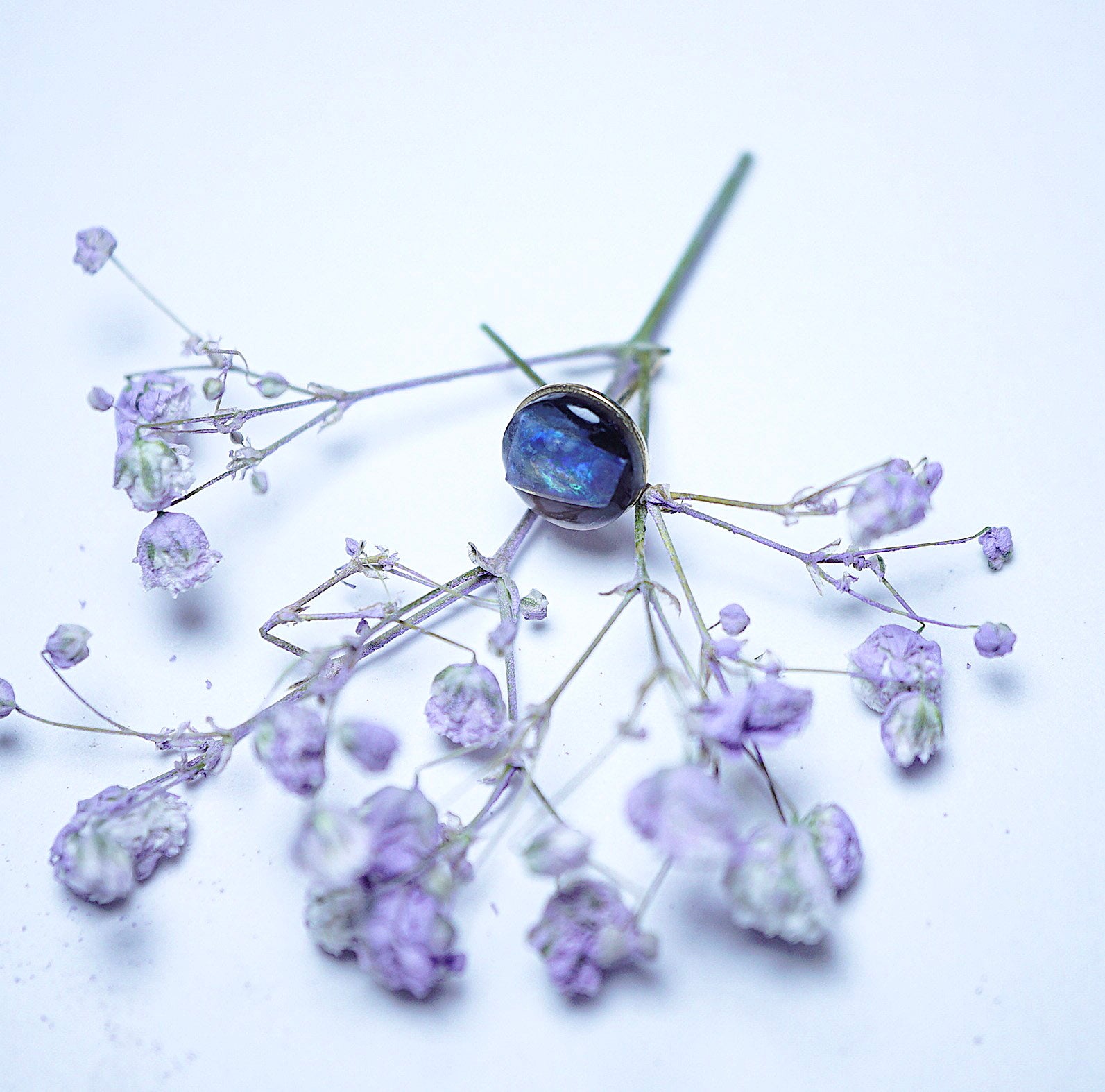 A small floral arrangement with pale lavender dried blossoms and stems, centered around a dark oval object with a blue reflective center, photographed on a plain white background.