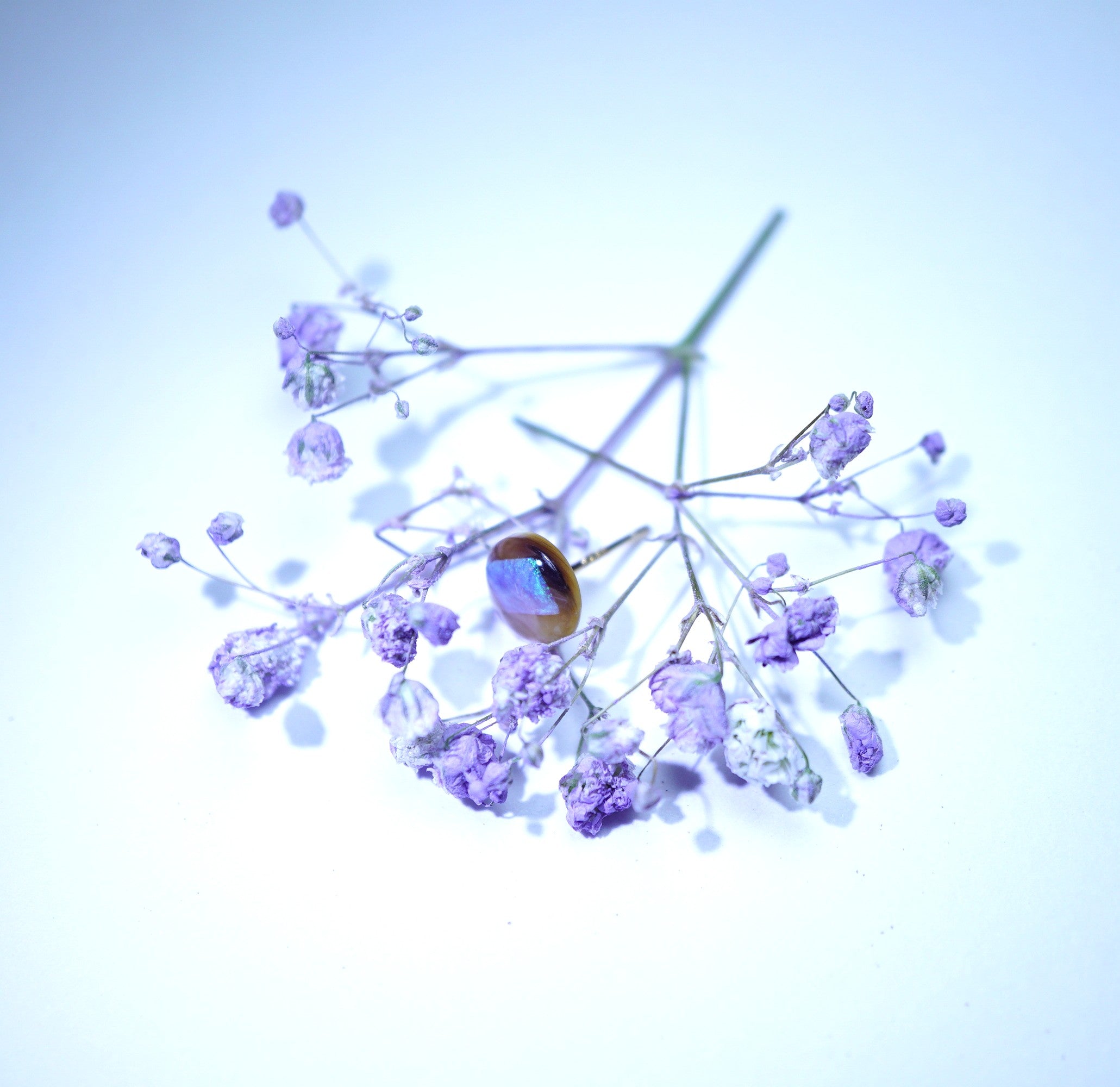 A dried floral arrangement with small lavender-purple flowers on thin stems, featuring a prominent oval iridescent brown jewel, photographed against a pale blue-white background.