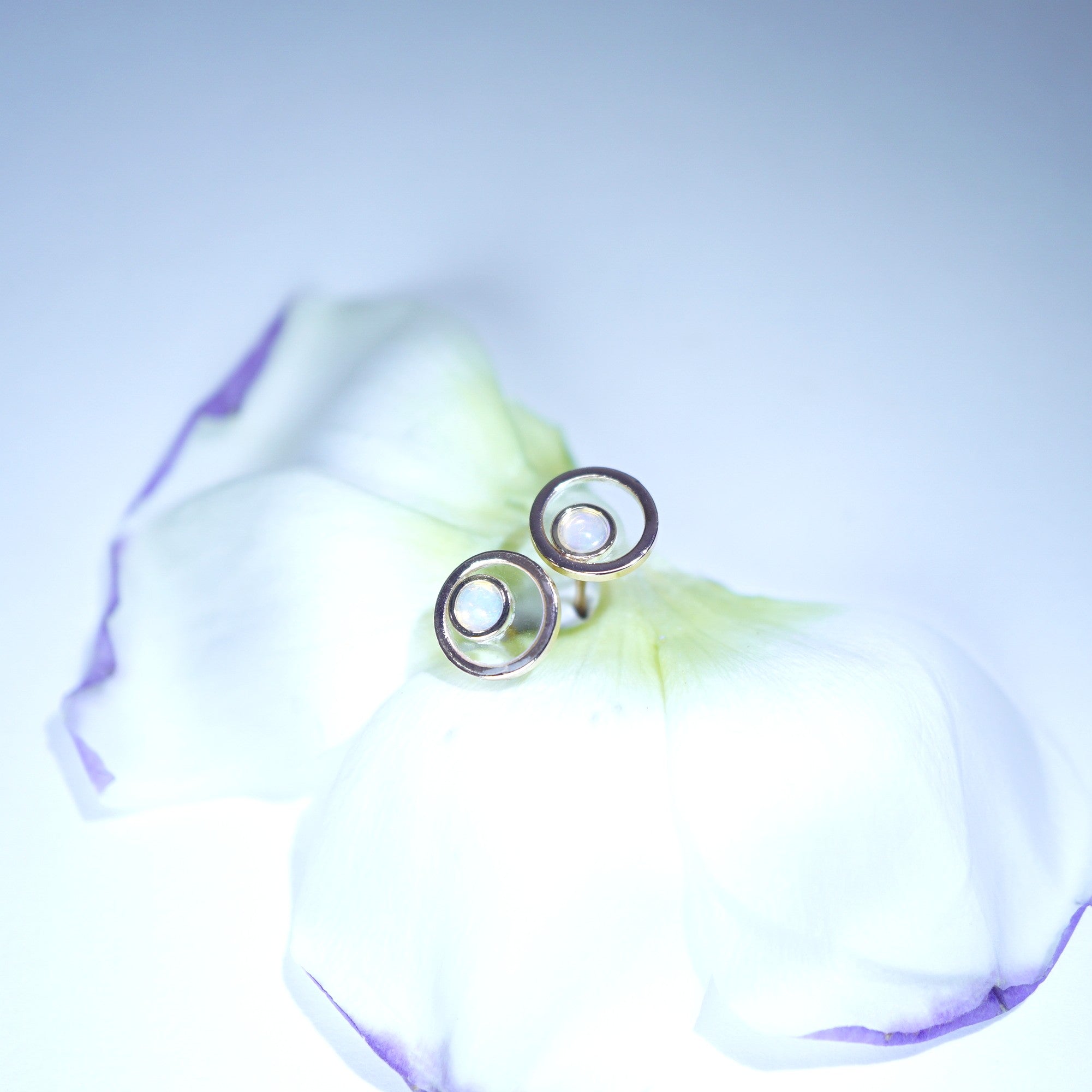 A pair of silver-toned double-ring stud earrings resting on the petals of a white flower with subtle purple edges against a soft light blue background.