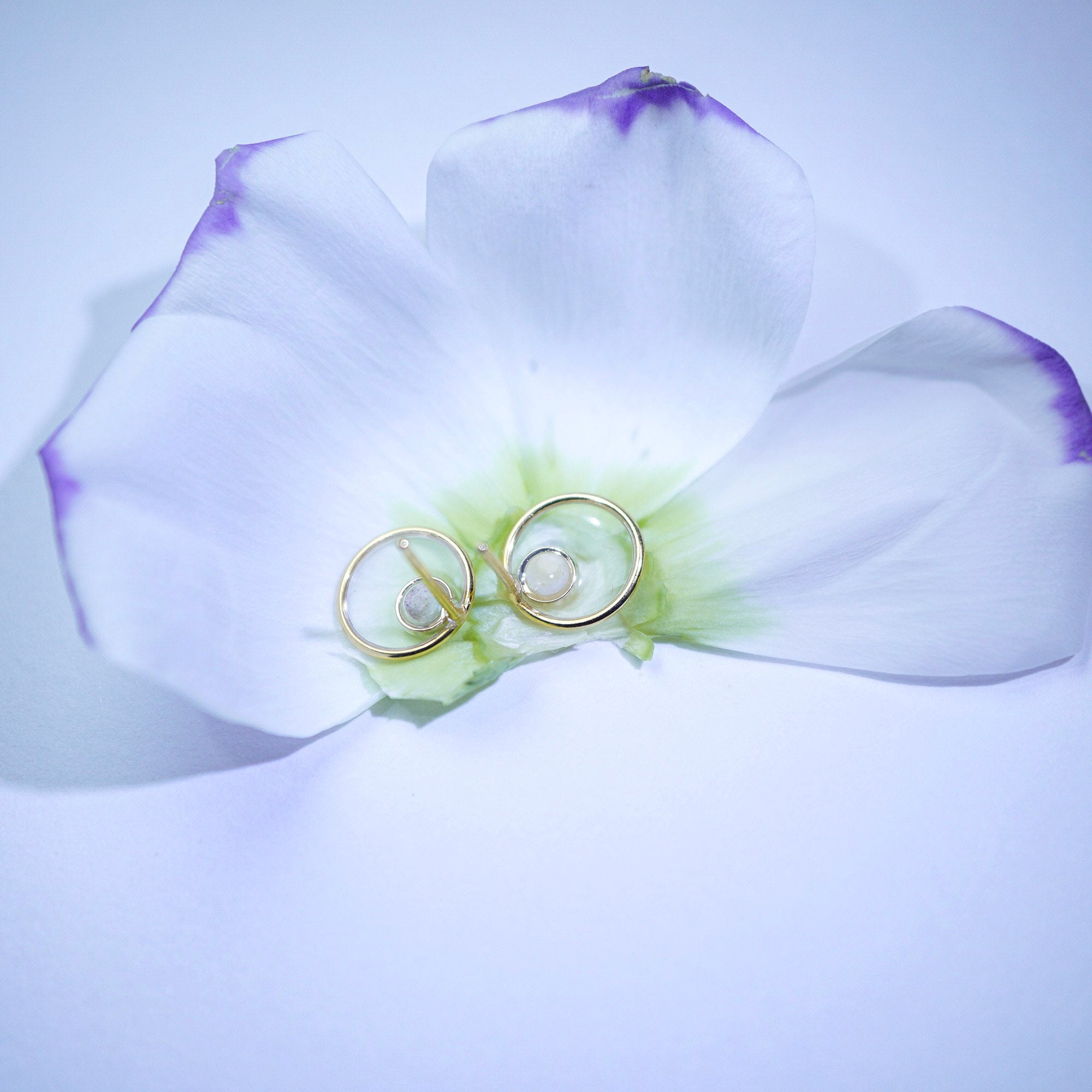 Two gold hoop earrings with clear gemstones resting on the center of a white orchid flower.