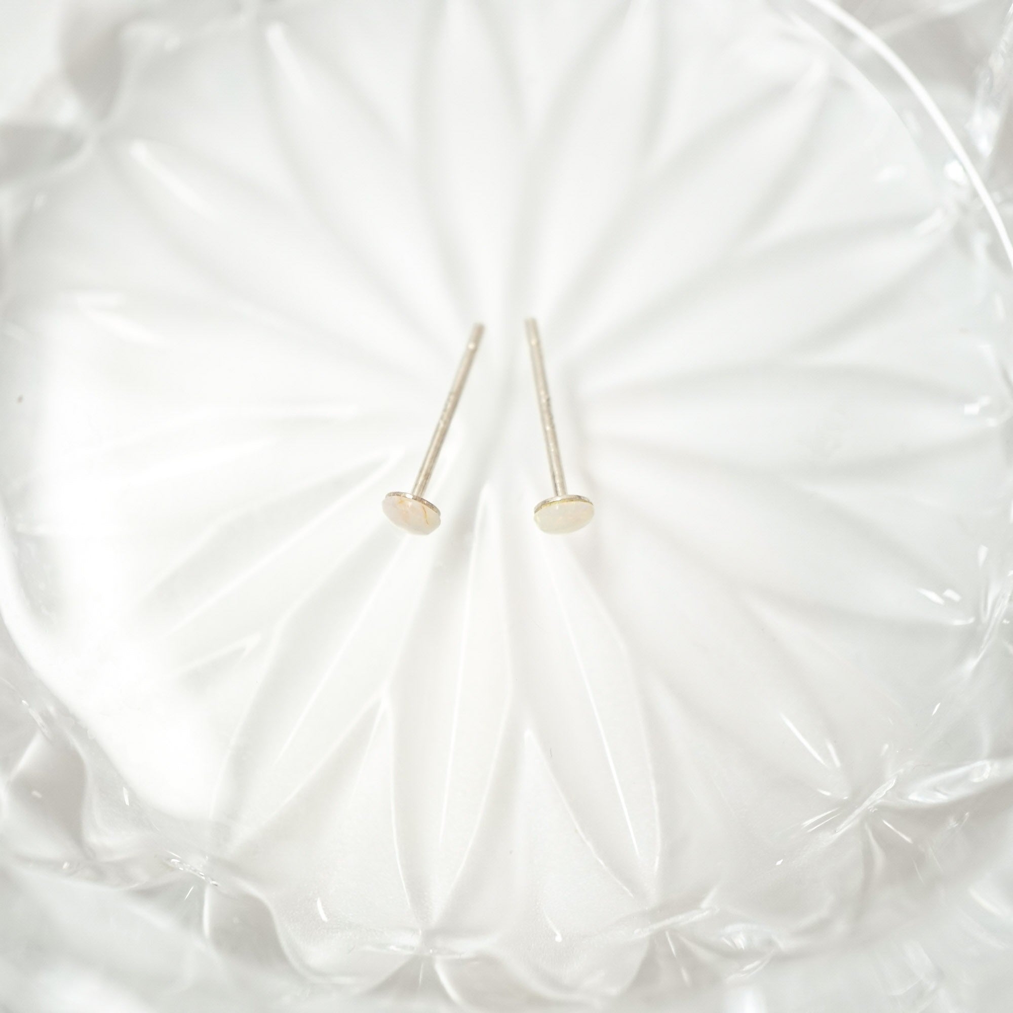 A pair of small gold stud earrings with flat oval discs on thin posts, displayed on a white textured glass dish.