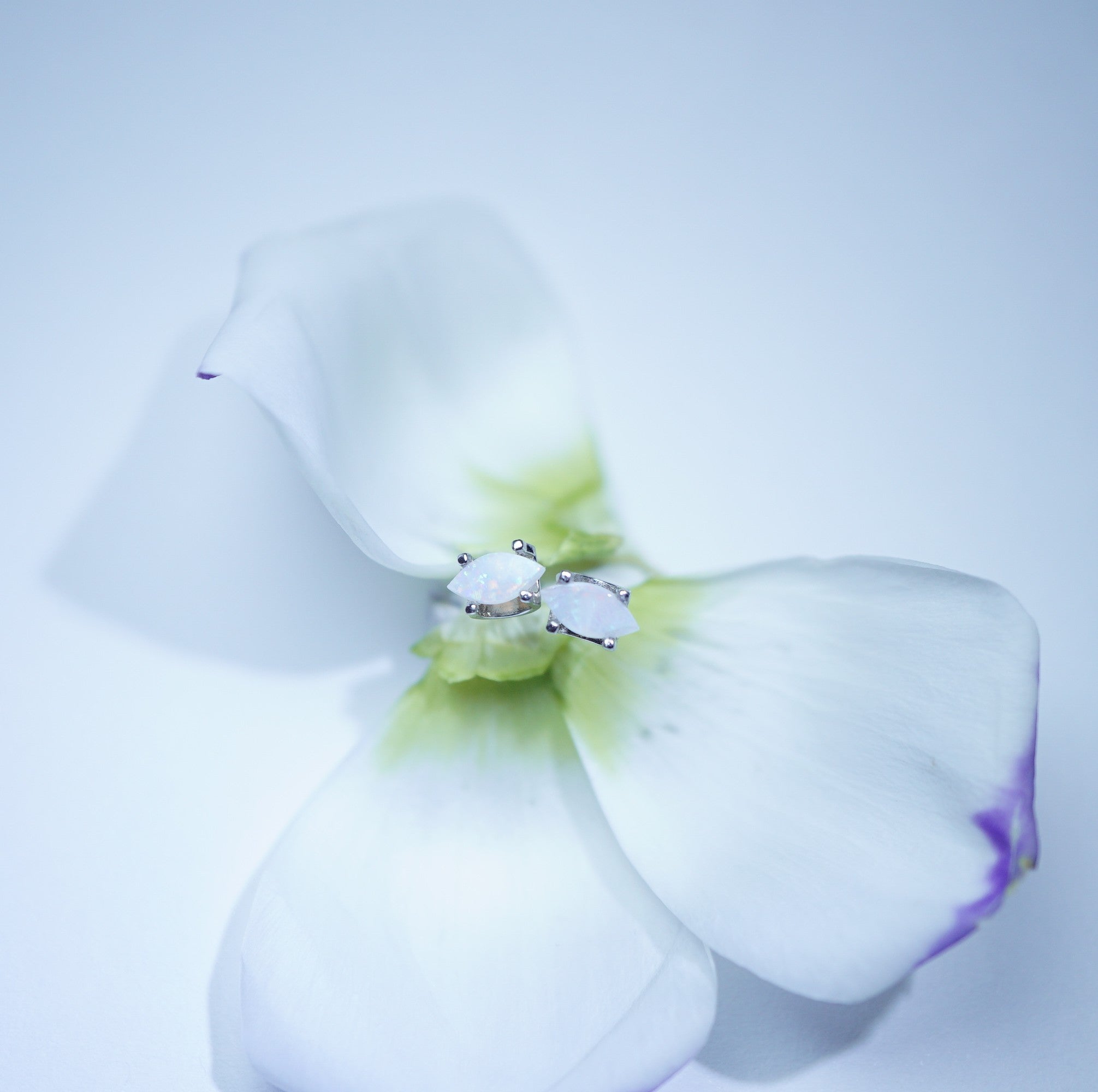 A delicate silver ring with a white marquise-cut gemstone and small clear accent stones, delicately resting on the center of a white flower with subtle green and purple accents, set against a soft light blue background.