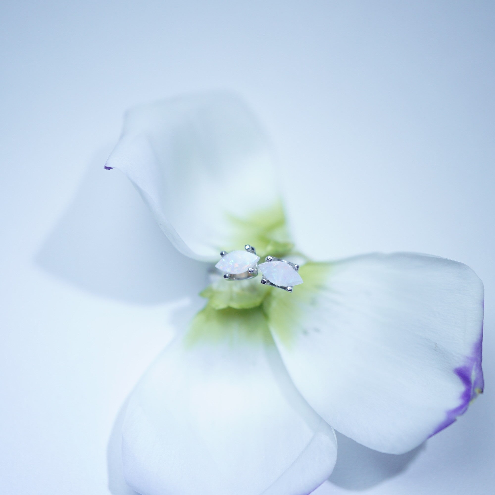 A delicate silver ring with two clear gemstones set in a floral setting, nestled among white flower petals on a soft, light blue background.