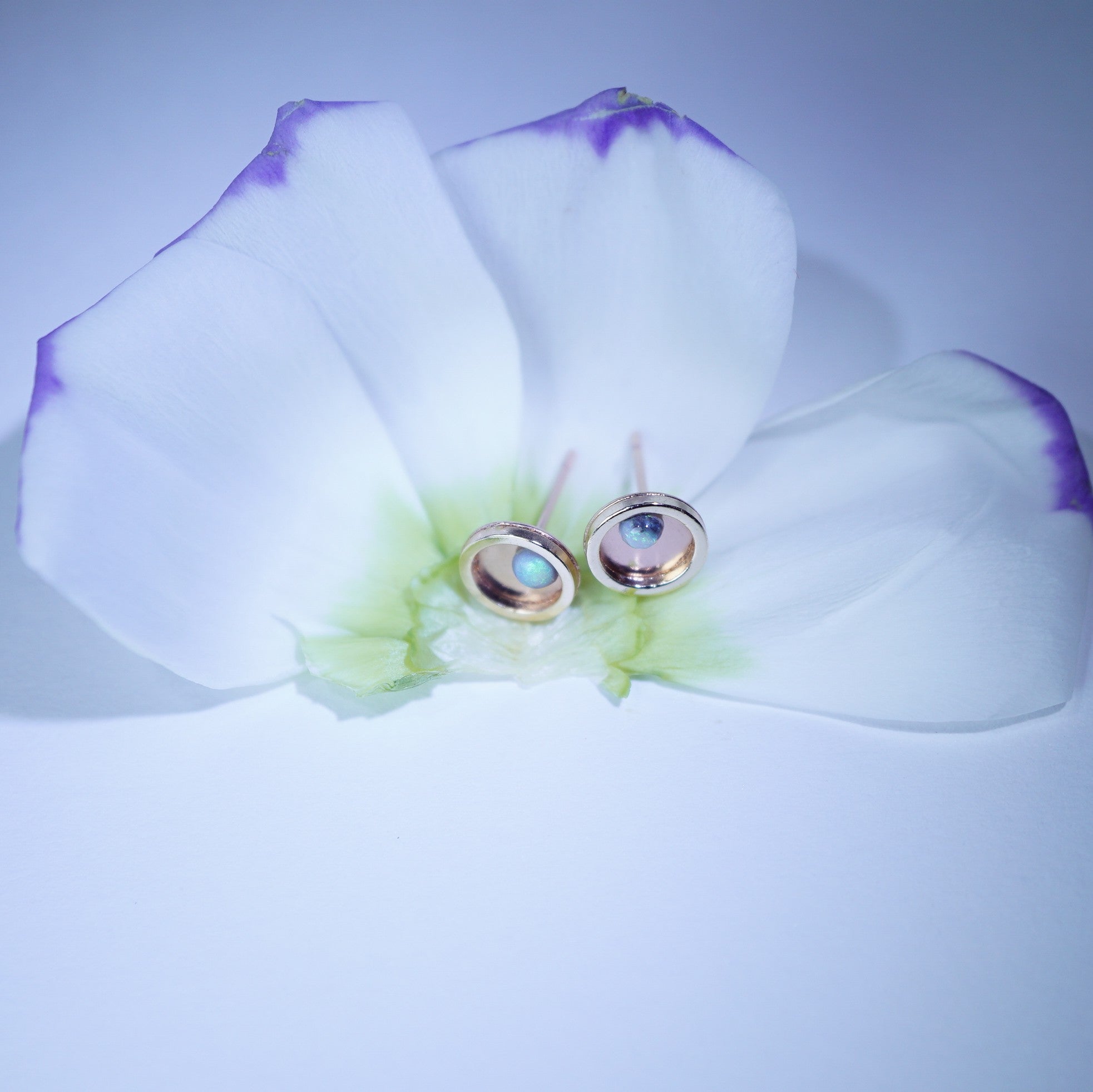 A pair of gold-toned oval stud earrings with iridescent blue-green stones, displayed on the center of a white orchid flower with purple edges against a pale blue background.