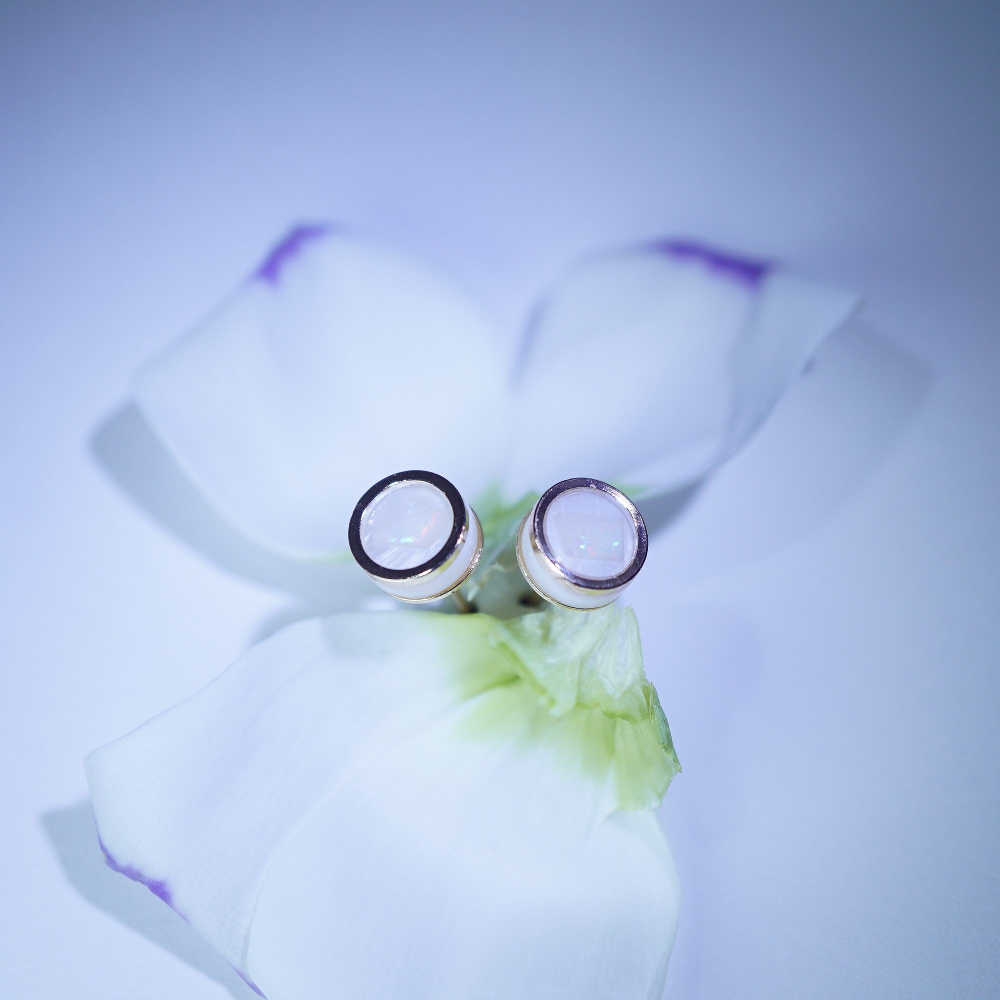 A pair of silver-toned stud earrings with oval clear gemstones, displayed on white flower petals against a soft light blue background.