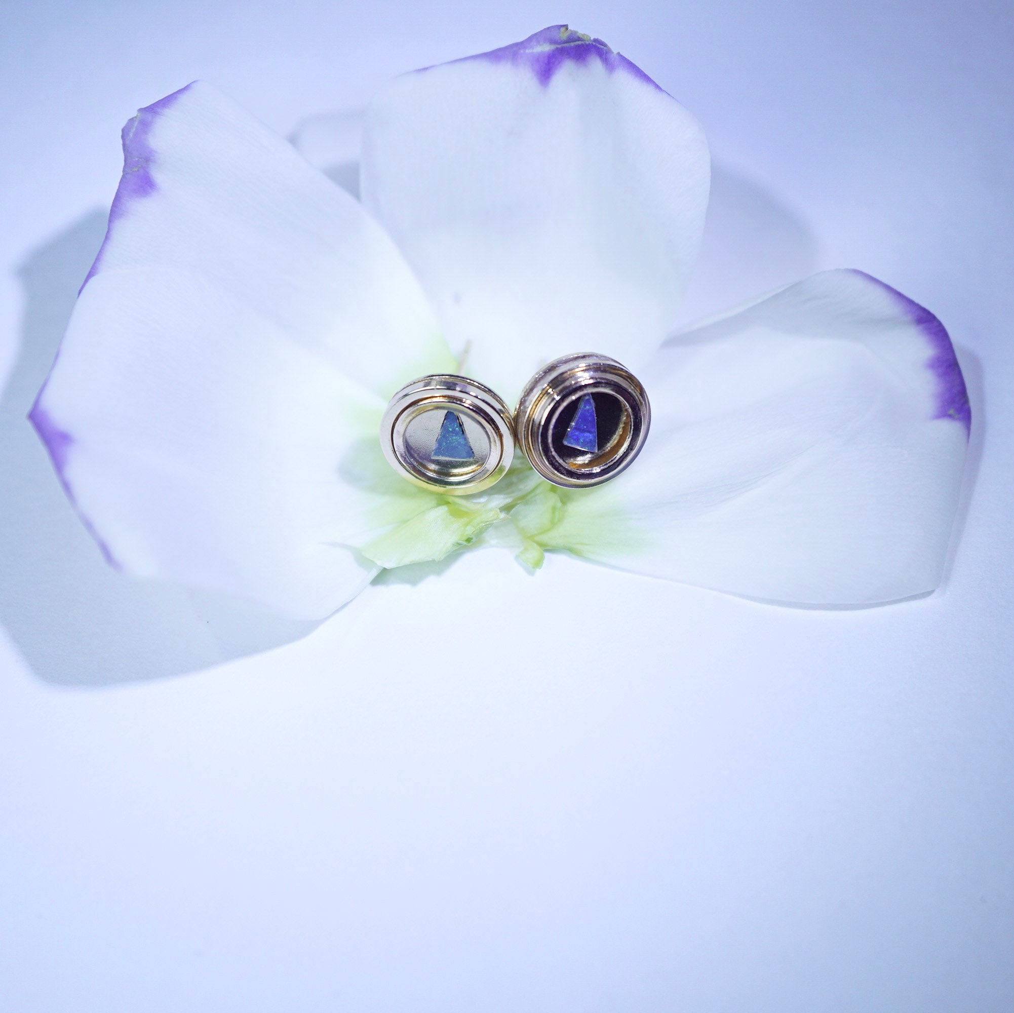 Pair of opal earrings on a white orchid flower