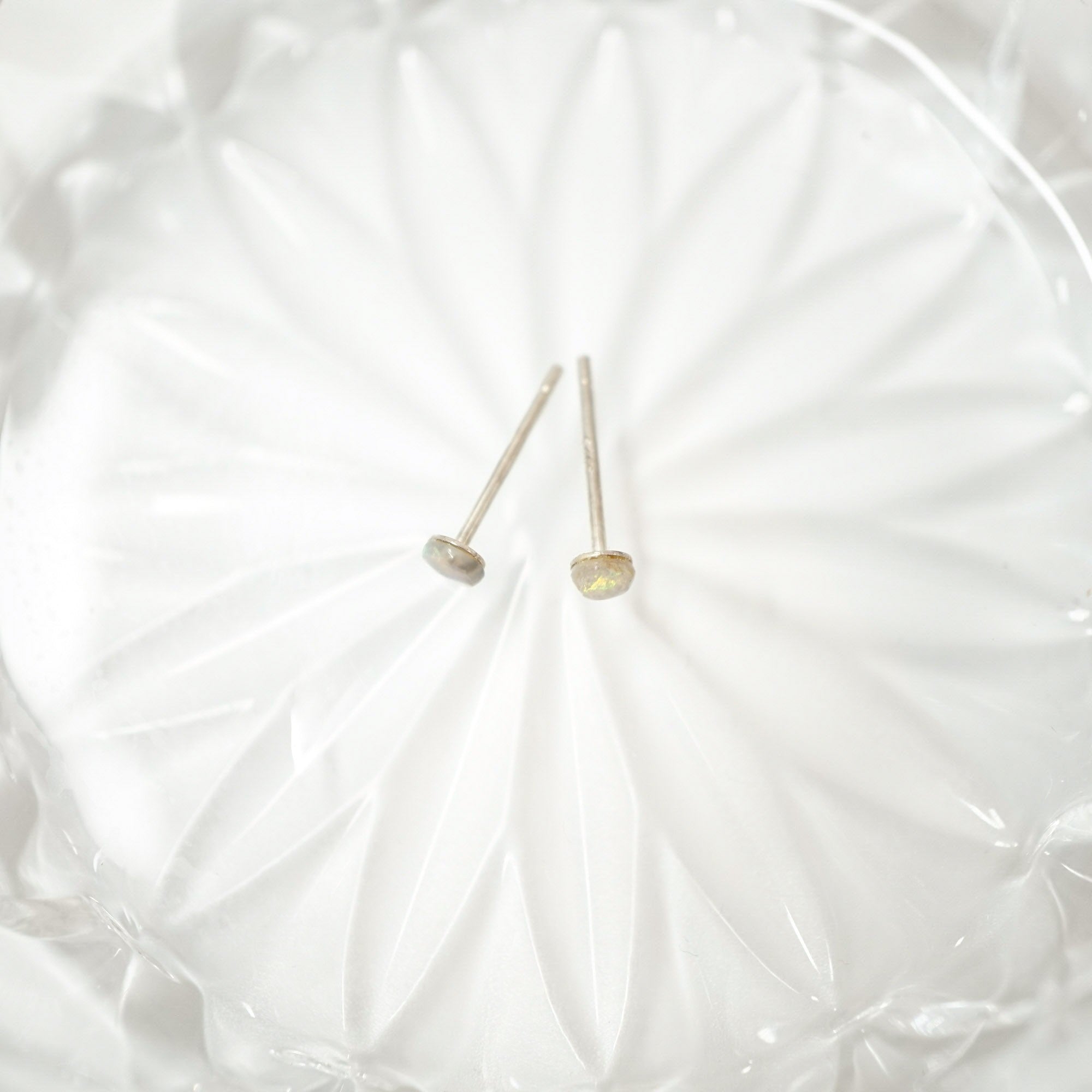 Two small gold-toned stud earrings with flat oval discs on thin posts, resting on a white textured glass dish.
