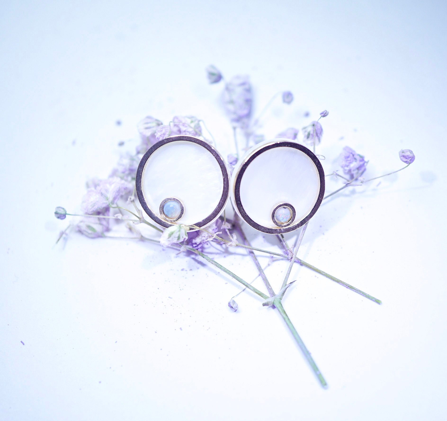 A pair of round hoop earrings with dark metal rims and small clear stone accents, arranged on dried lavender stems against a pale lavender background.