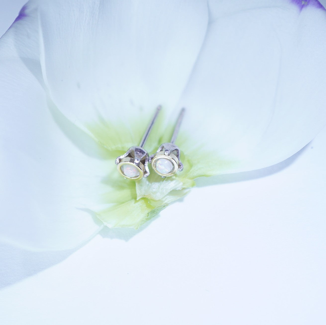 A pair of silver stud earrings with oval clear stones, resting on the delicate petals of a white flower.