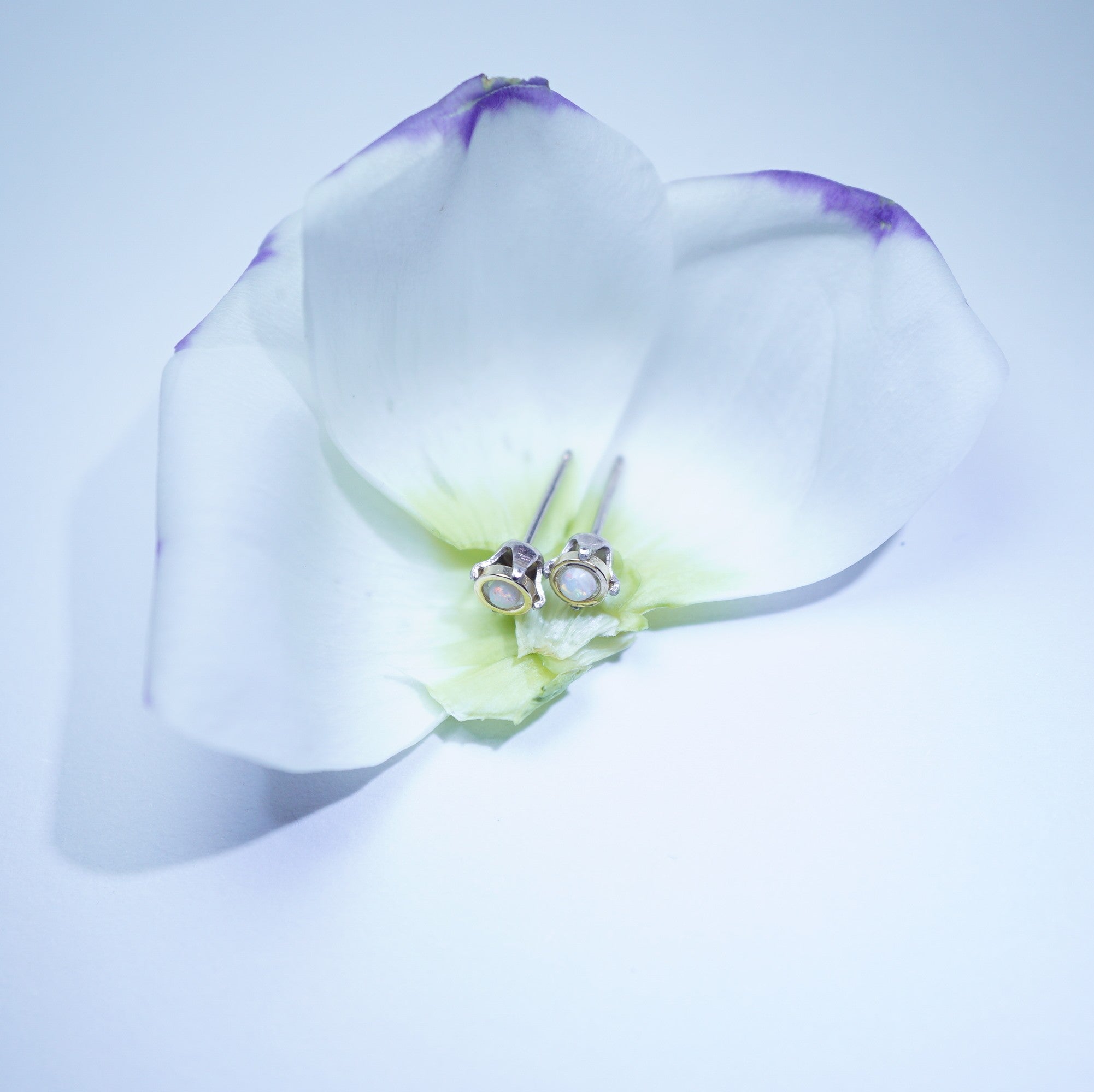 A pair of small silver stud earrings with clear round stones, resting on the center of a white orchid flower with subtle purple tips against a pale blue-white background.