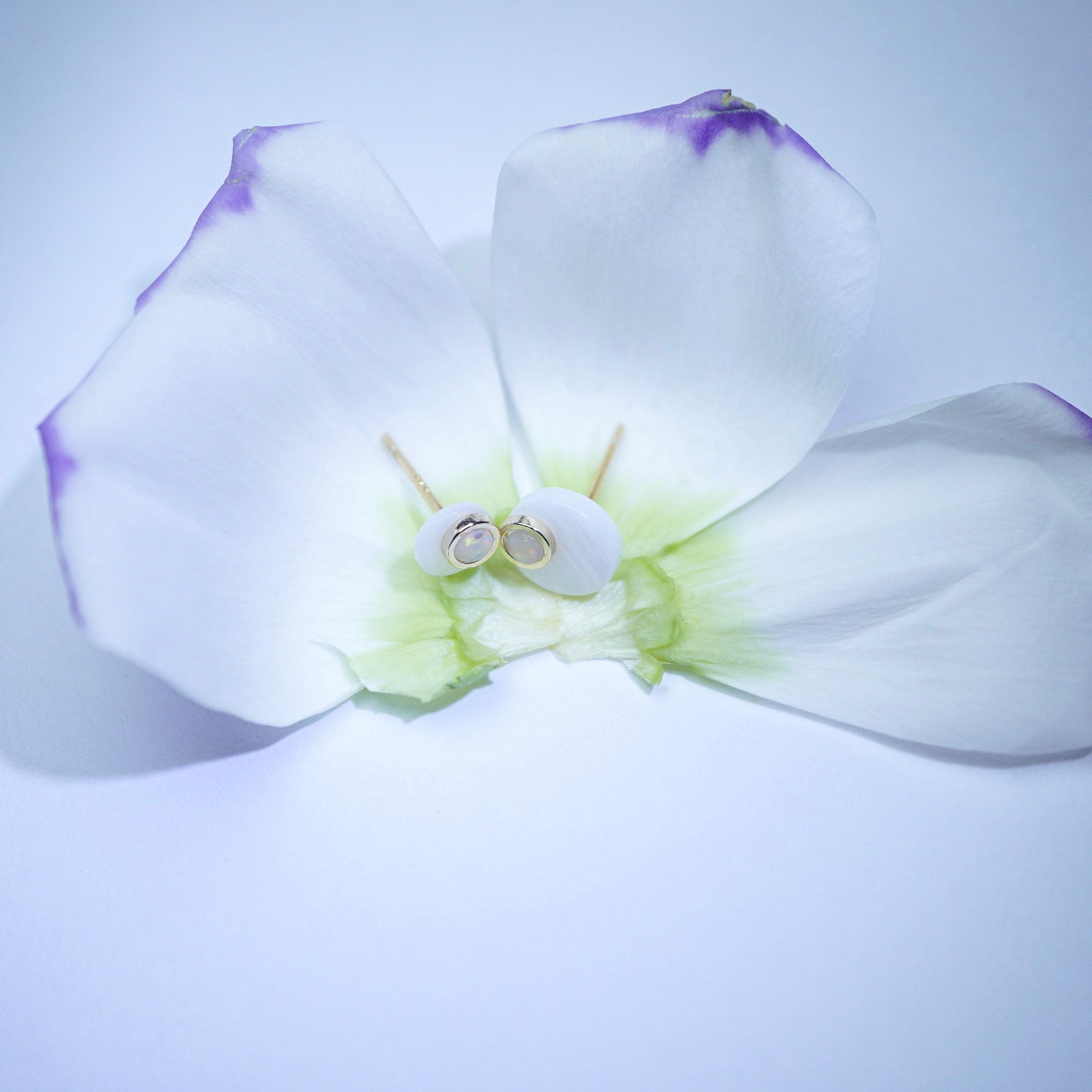 White flower with a small object on a light purple background